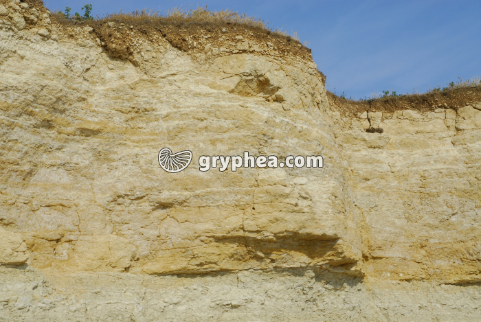 Strates calcaires Pointe du Chaix - gryphea.com